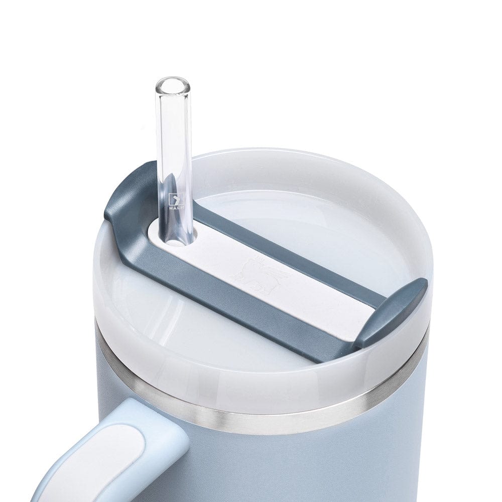 6x Pailles en verre Stanley Cup pour gobelets 40oz, Quencher et bouteilles jusqu'à 1,2 litre